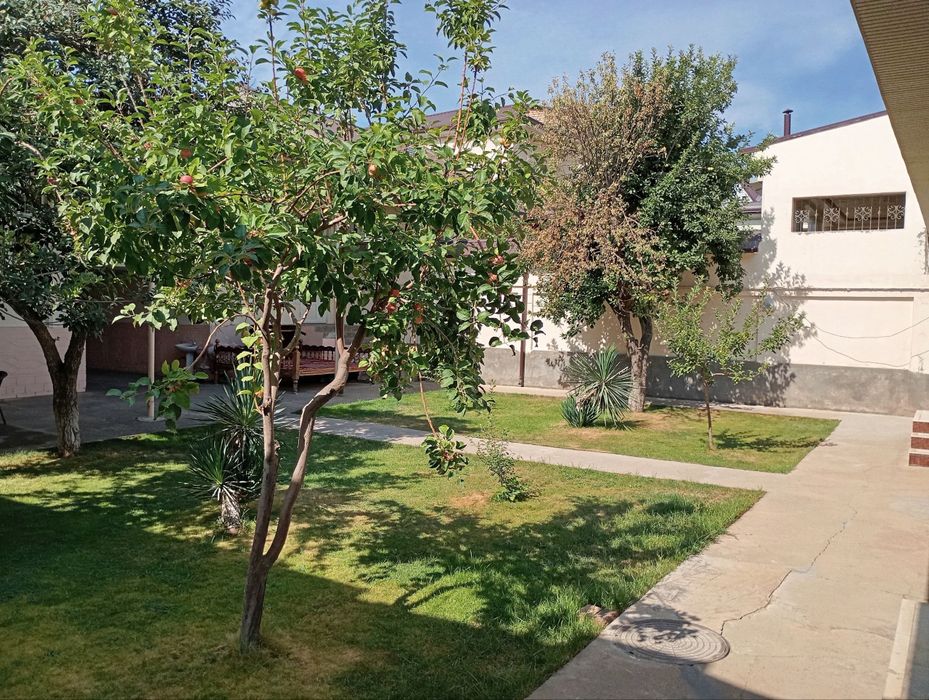 Shayxontohur tumani Ipakchi mahalla