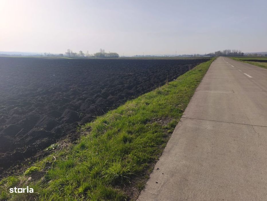 Teren extravilan, 9300mp, 55ml deschidere la drum, Satu Mare, Radauti