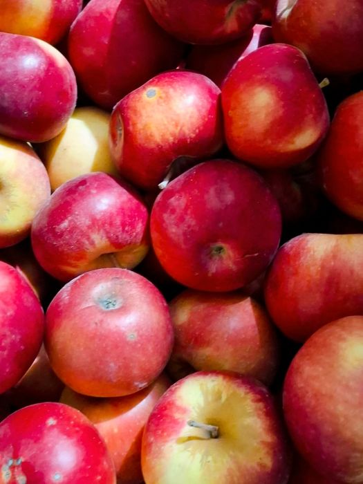 Яблоки Айдарет, Американка