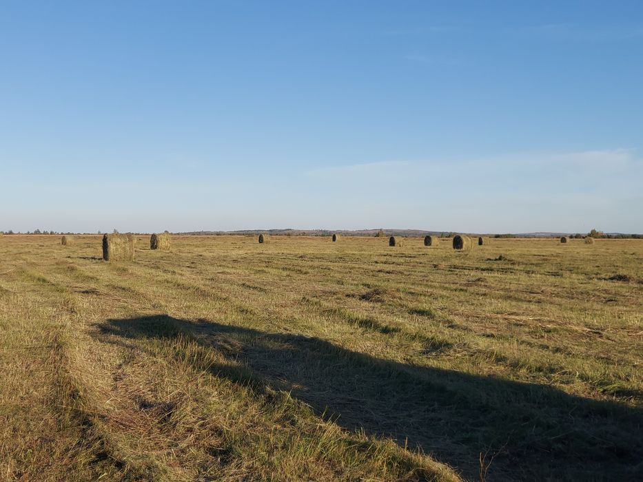 Хозяйства, ферма, пастбище, сенокос