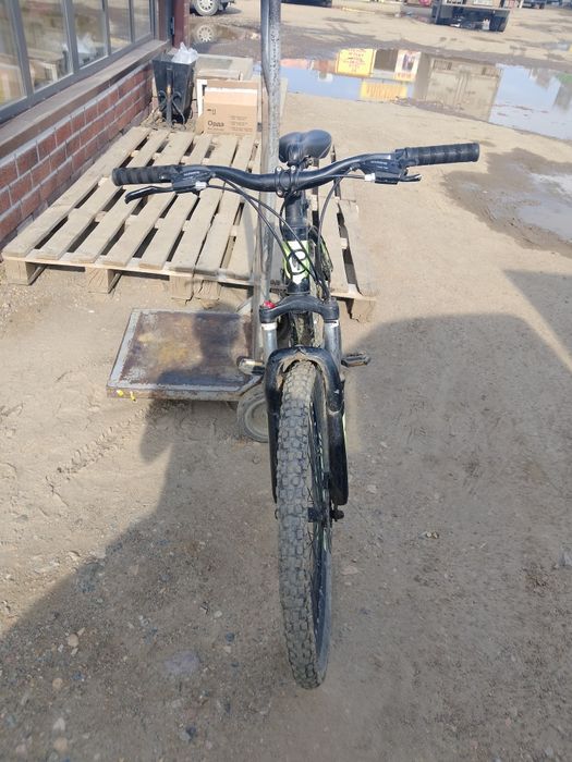 Пирадаю велик бу