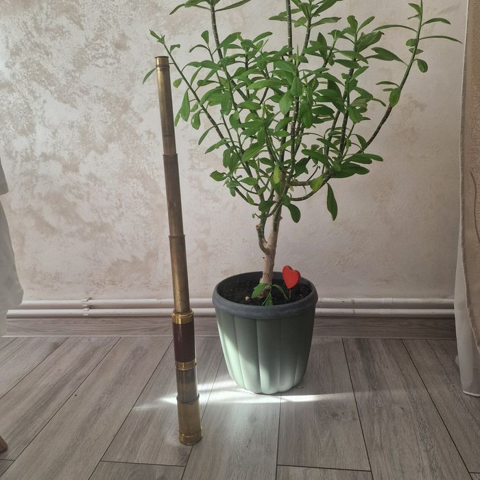 Ochean vechi din alamă 85 cm