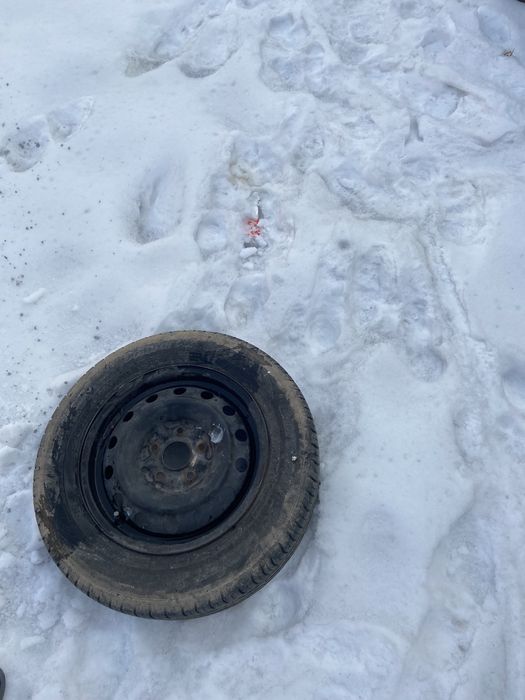 СРОЧНО продам