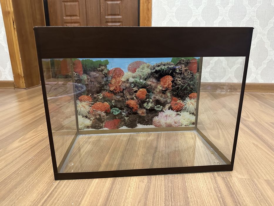 Продаю аквариум