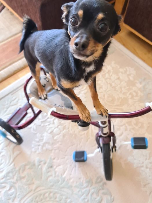 Предлагаю для вязки