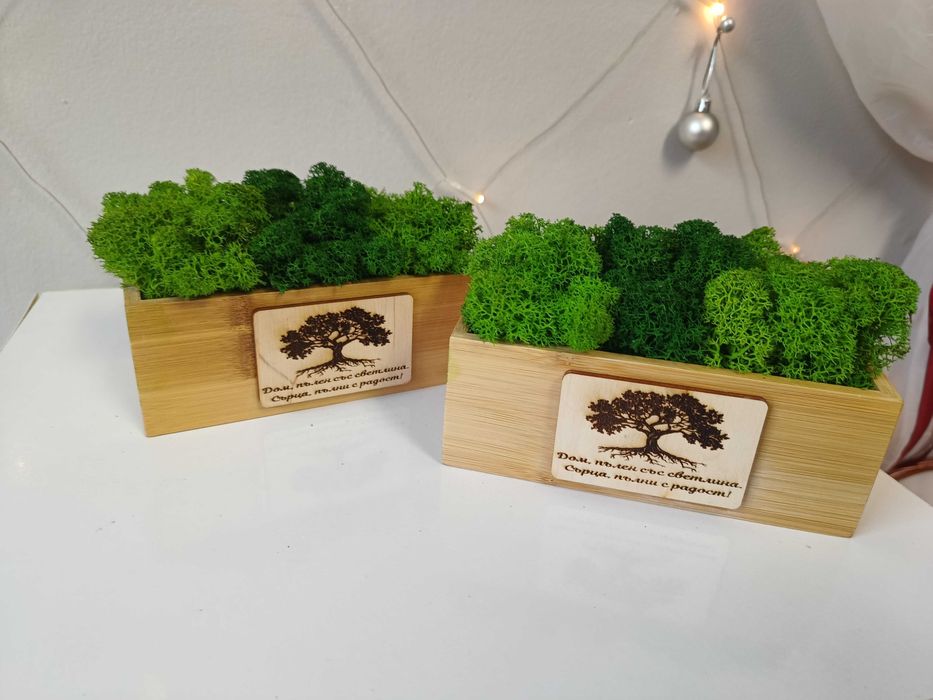 Дървени кашпи със скандинавски мъх + гравиран надпис