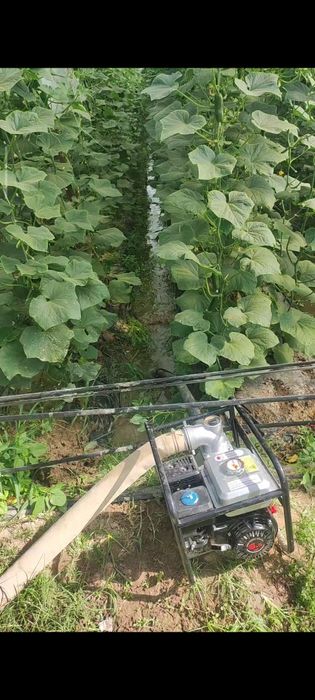 Генератор бензиновый мото помпа