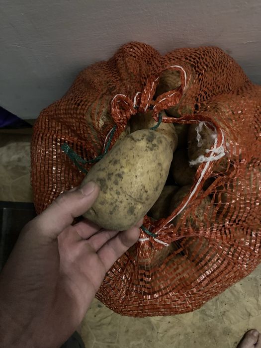 Продам картошку