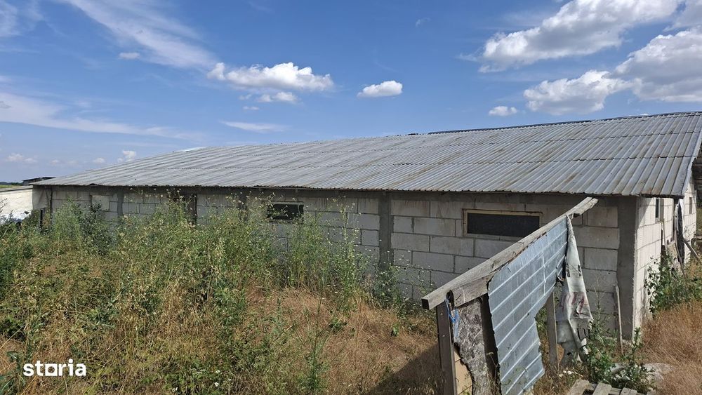 Teren agricol de vânzare, acces asfaltat