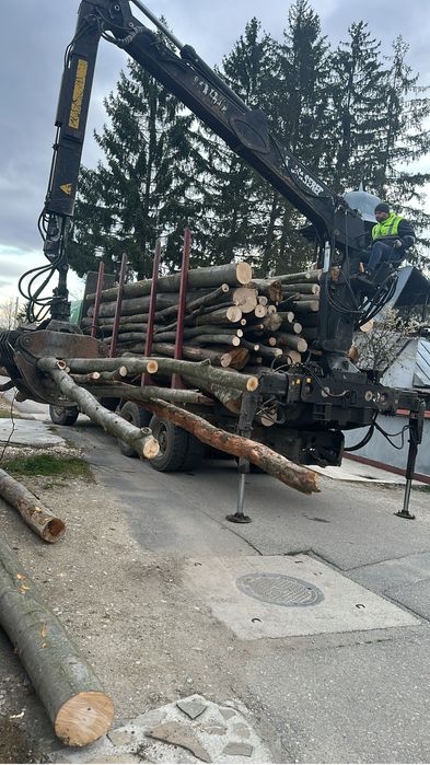 Lemne de foc FAG CARPEN stejar salcam