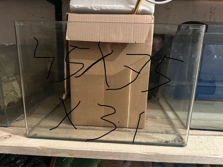 Juwel Vision 180 litri