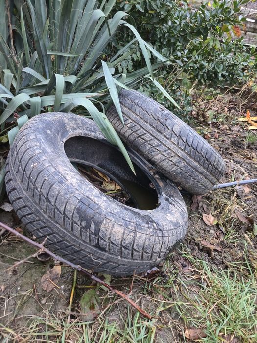 Anvelope 195 /65 /15