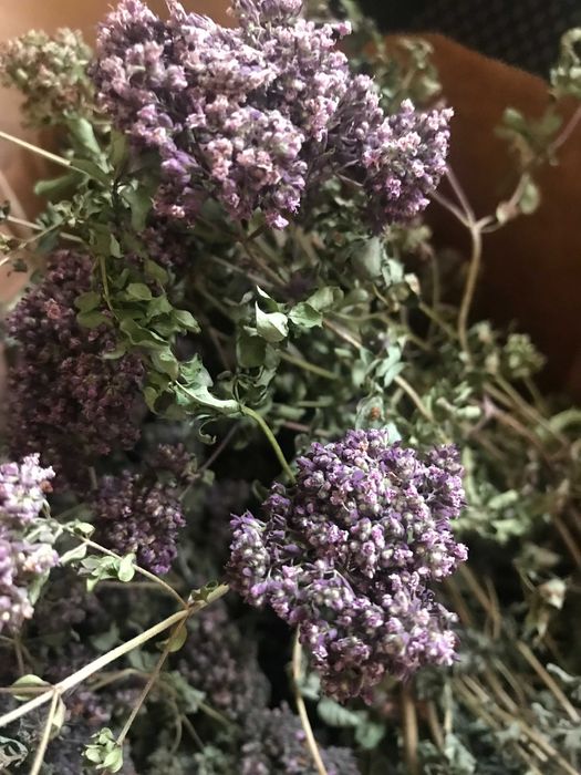 Сушенные цветы Календулы,  Чабреца, Клевера