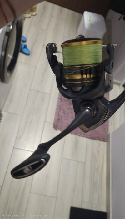 Tailwalk Del Sol S672M SPII + Shimano Ultegra C3000