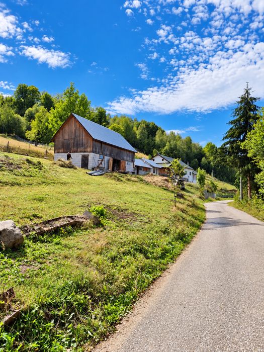 Vand proprietate cu teren – Sohodol Alba