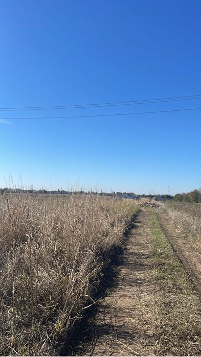 Teren de vanzare PĂDURIȘU , Frumușani