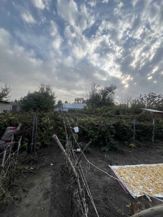 Продается дом с большим участком