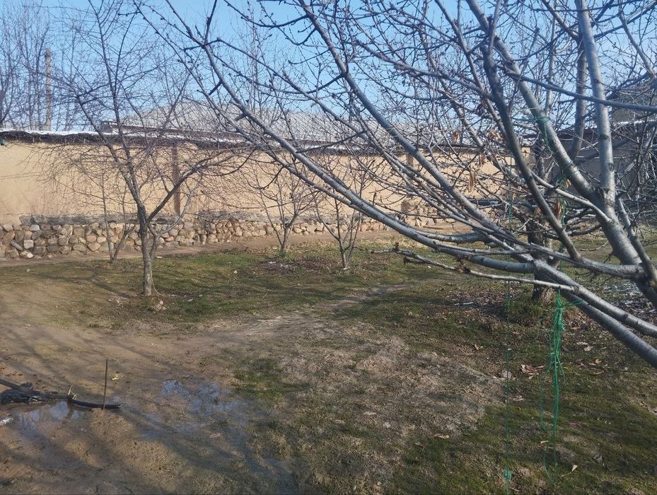 Yer sotiladi Parkentda 4sotix