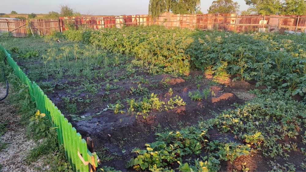 продам дачу вишенка