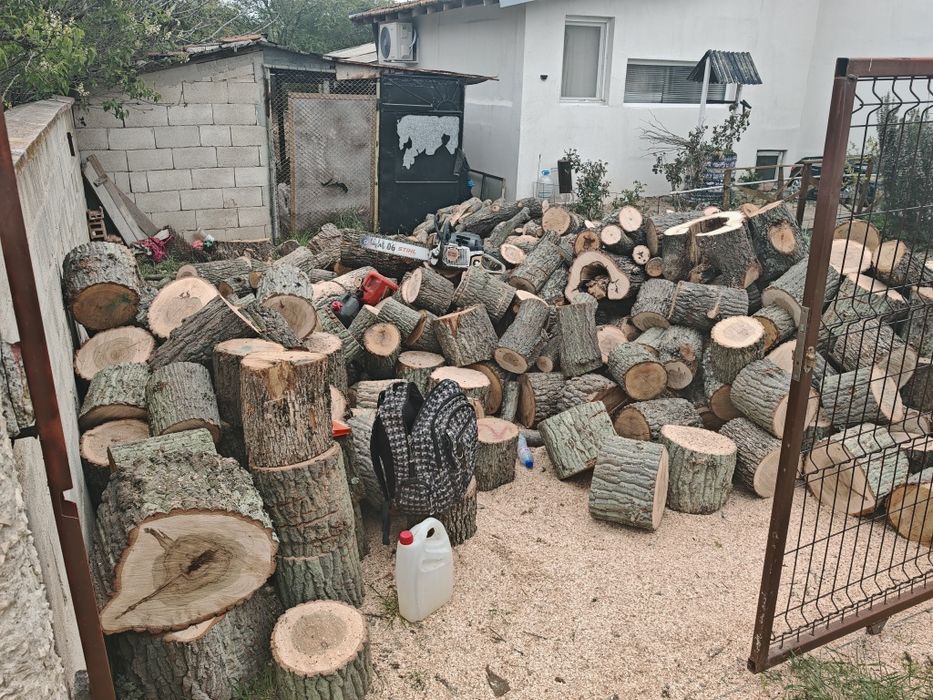 Рязане на дърва 12лв кубик