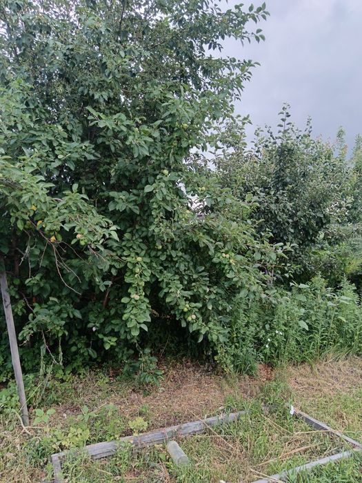 Дом сад Реченьке