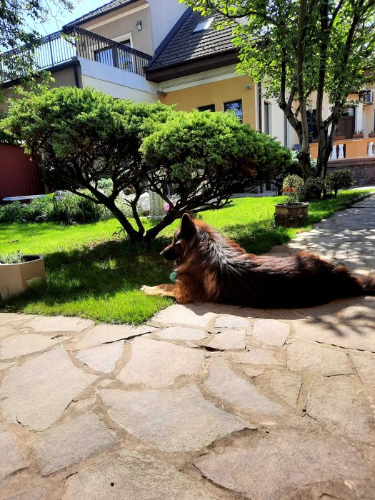 Casa 355 mp si teren 461 mp in zona cetatii Tg.Mures