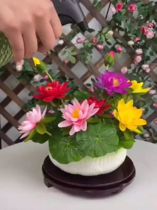 Ajoyib urug'dan yetiluvchi gul