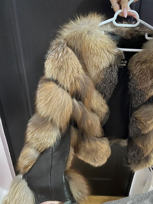 blana vulpe canadiana se face si vesta