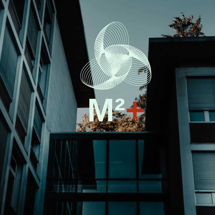 Боядисване, шпатлуване, гипсокартон и друго. Въсокко качество.