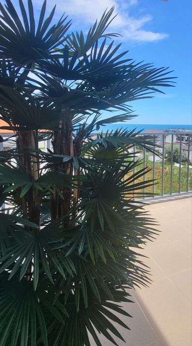 Închiriez garsoniera in Navodari langa Kaufland — fotografia 3