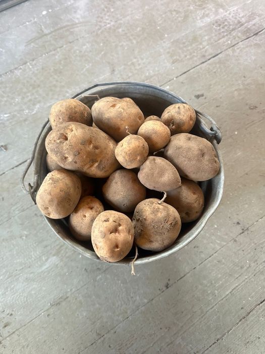 Домашняя картошка