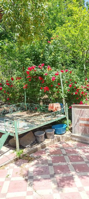 Дача с участком рядом с водохранилищем Чарвак