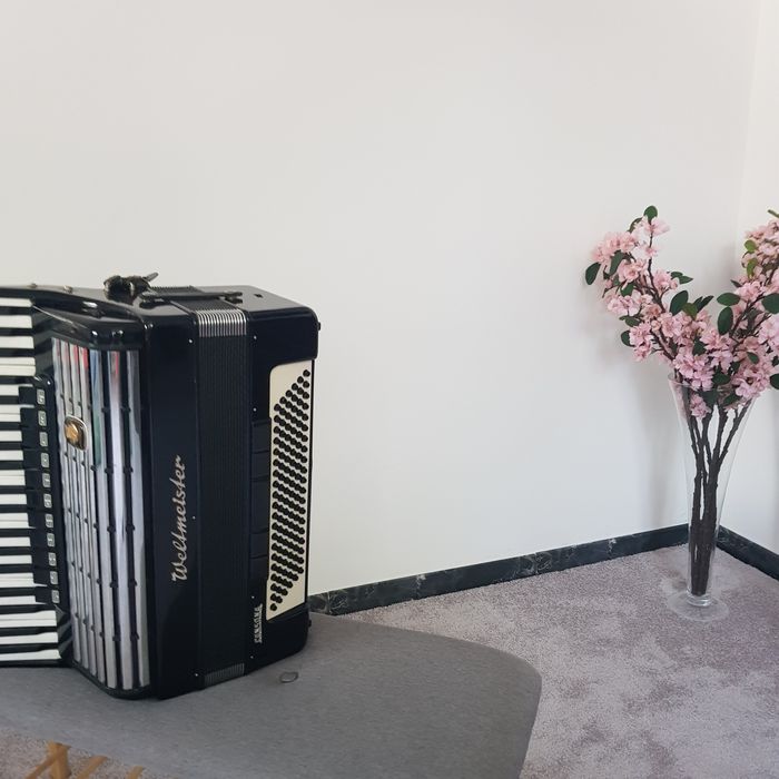Acordeon Weltmeister Consona ! 120 de basi