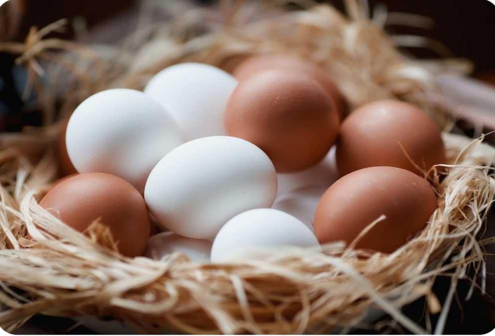 Яйца домашние продам