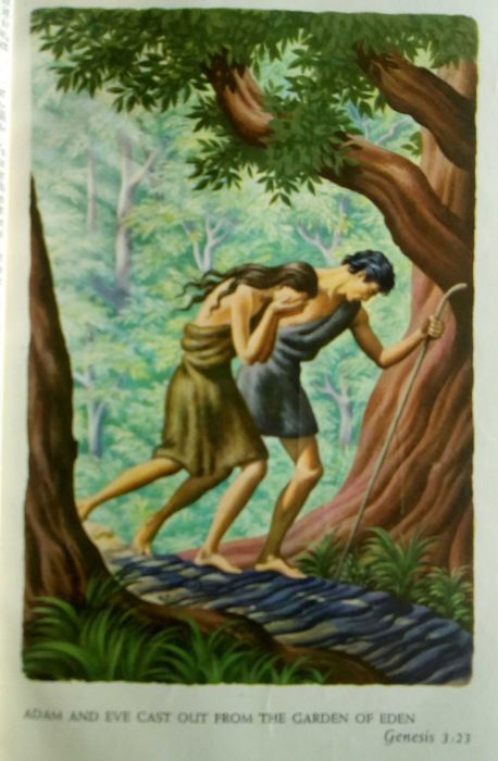 Holy Bible Ilustrated