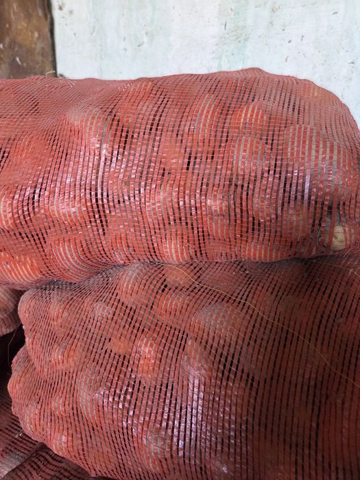 Продается картофель