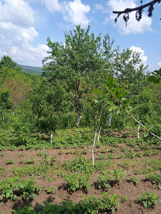 Продава се Къща в Антоново - 90 кв.м за 397 €/кв.м - Снимка #2