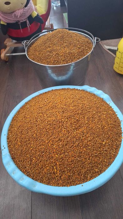 Polen crud proaspăt