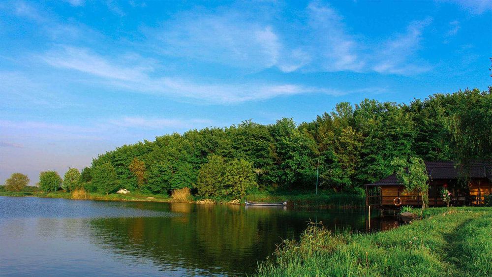 Proprietar, vând teren intravilan în Periș – 4.514 mp