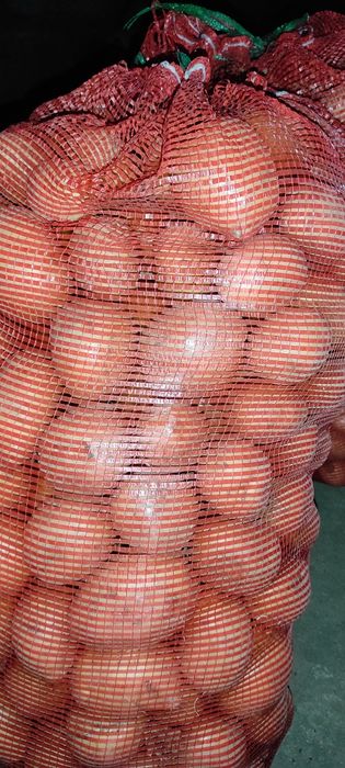 Продам картофель, Домашний.