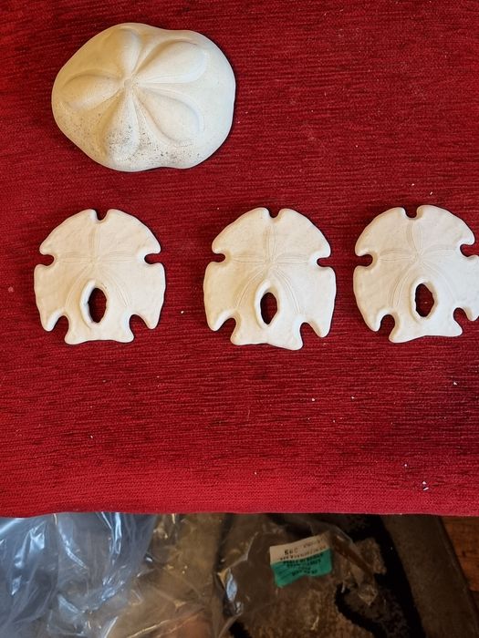 Scoici si Dolari de nisip(Arrowhead ), Sea Biscuit Puffy specimen de c