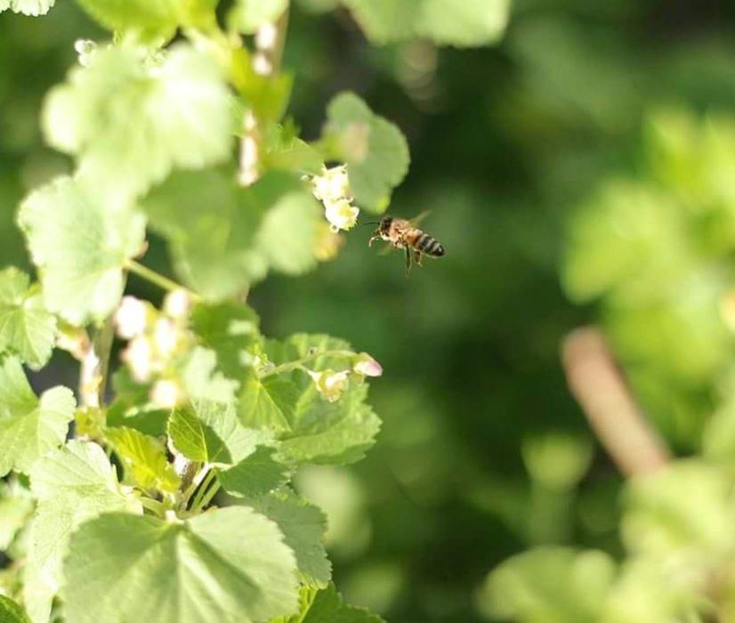 Выездная фотостудия