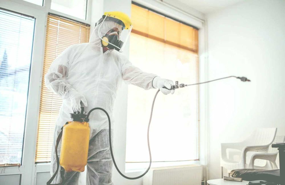 дезинфекция dezinfeksiya tarakan klopa klapa клопов тараканов насекомы