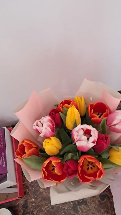 Цветы тюльпан 10500