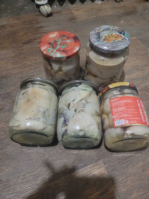Грибы,маринованные,синеножка