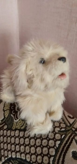 Детские игрушки для девочек