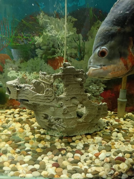 Продам декорацию корабль .