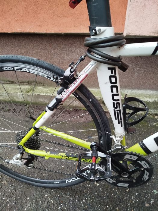 Cursiera contratimp Focus