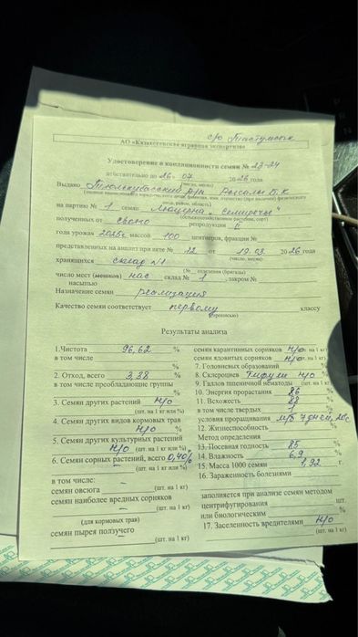 Семена люцерно. Жонышка урык. Беде