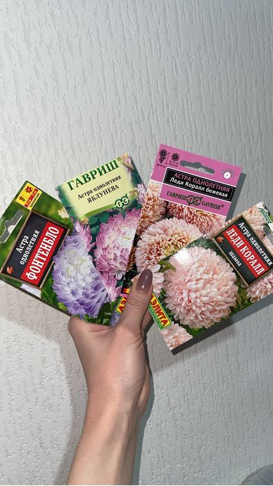 БРОНЬ НА АСТРЫ. смесь 4-х сортов